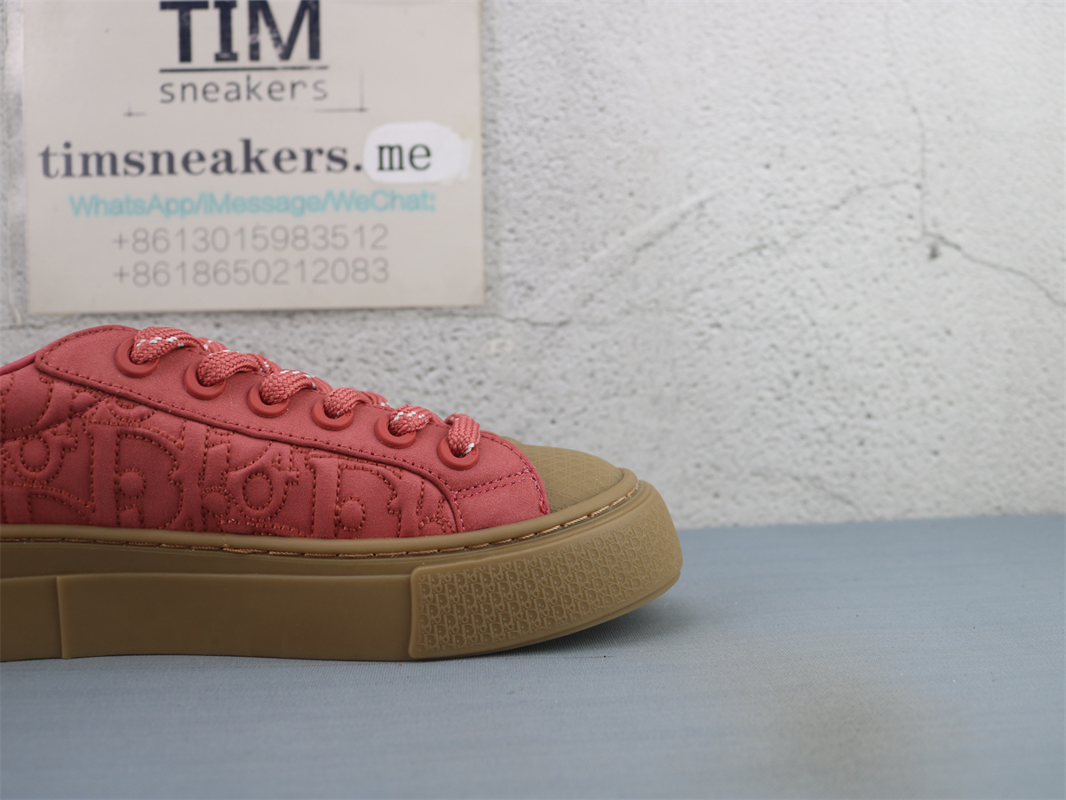 Stone Island x Dior B33 Skateboard Shoes Low-Top Red